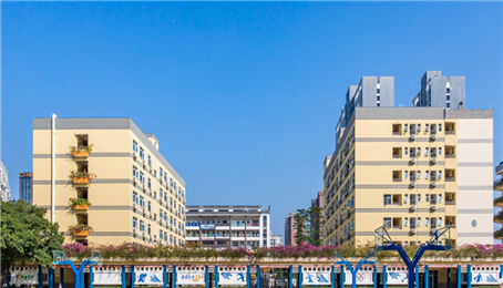 学校案例